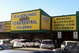 Deputado Brunelli em ação