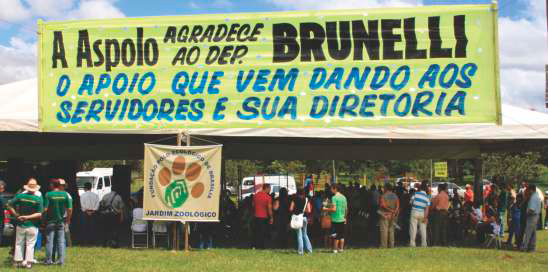 Junior Brunelli